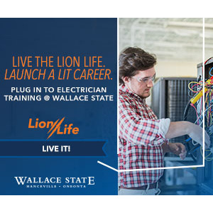 Wallace_Lion-Life-23_Display_Electrician_300x250